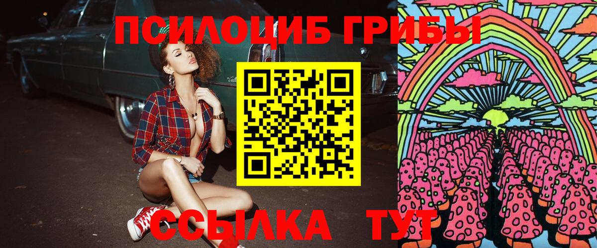 Галлюциногенные грибы Psilocybe  Вход с VPN  Тара 
