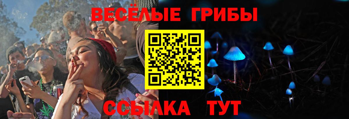 Псилоцибиновые грибы мухоморы Тара